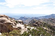 Tucson 2597